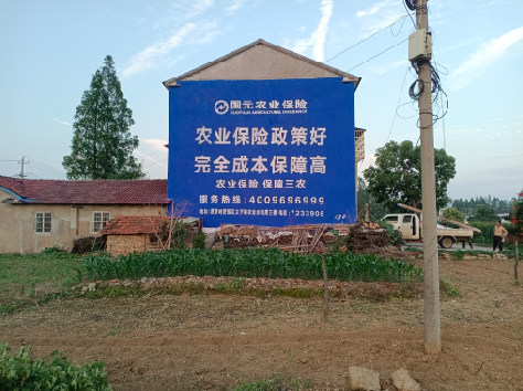 略阳墙体广告为何受追捧？