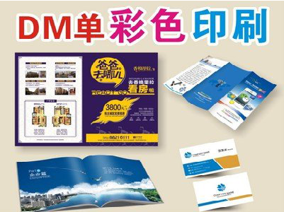 略阳单页印刷，色彩搭配简单。